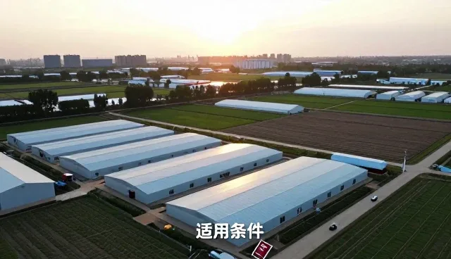 平面设计在内容运营中的场景化应用分析
